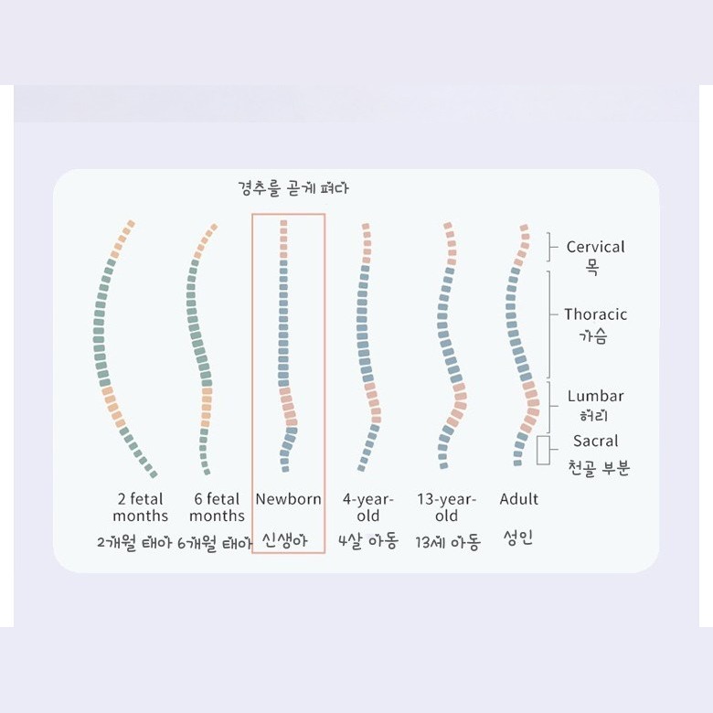 폭 조절 부위 이미지