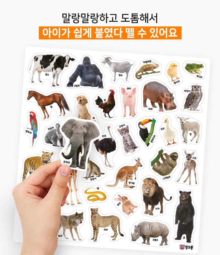 베베핀 생생 동물 가방 스티커 표지