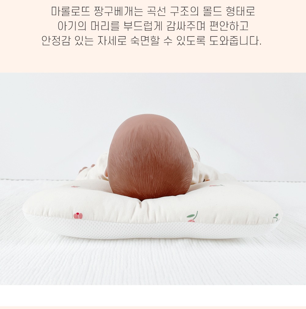 곡선 형태 상세 안내