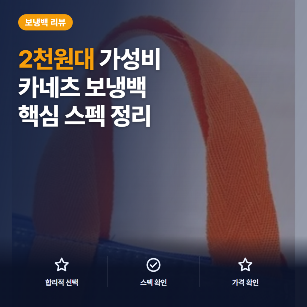 도시락 보냉백 카네츠 비비드 2천원대 방수 활용과 수납 포인트 솔직 후기 정리