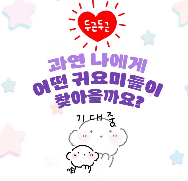 랜덤 구성 범주 안내