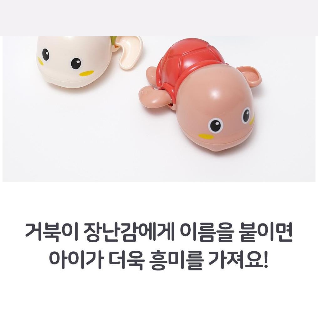 핑크 그린 블루 거북이 3종 구성